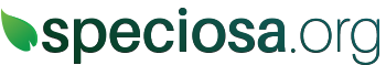 Speciosa.org