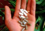 supplements